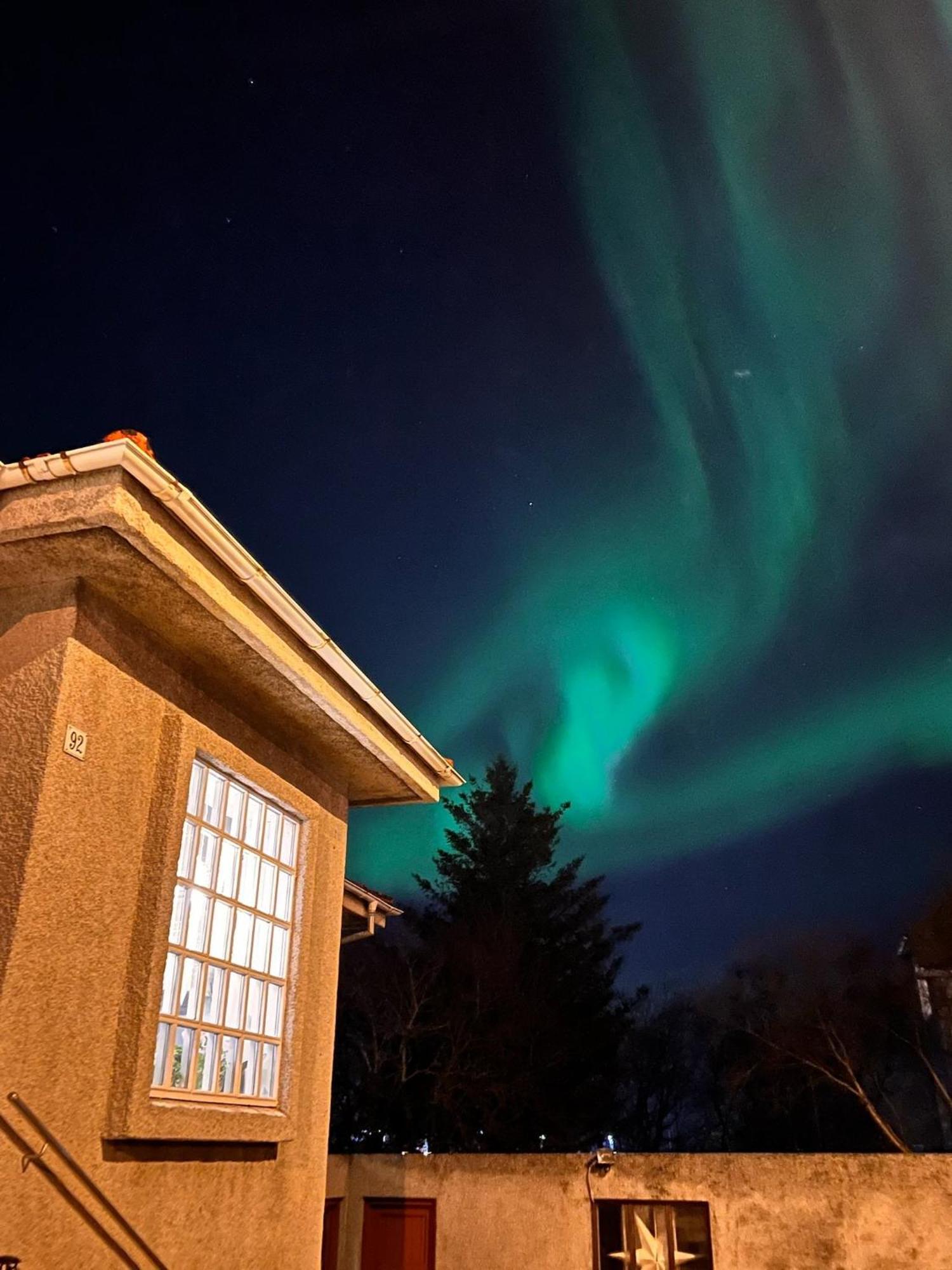 Casa Disa - Apartments A Boutique Guesthouse In Reykjavik City'S Central Park And Botanical Garden In Laugardalur, Hot-Spring-Valley Екстериор снимка
